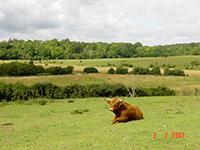 Vallée de javot