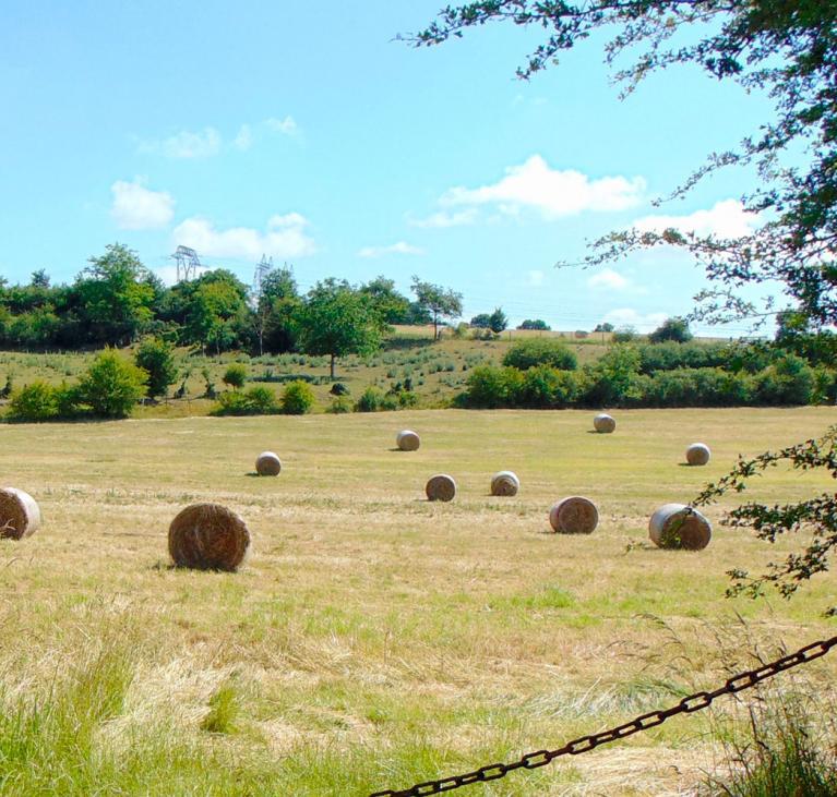 La vallée Javot